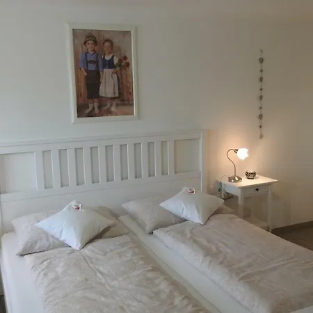 Haus Dachsteinblick Διαμέρισμα *